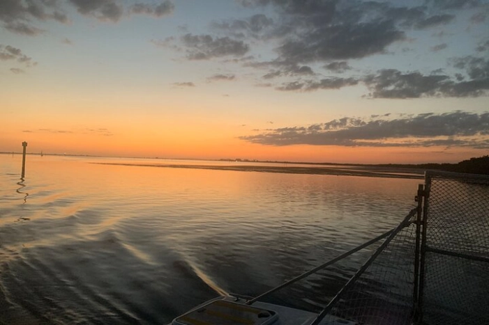 Image 31