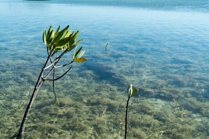 Image 13