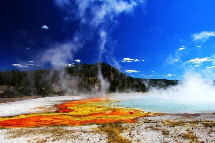 Yellowstone Private Lower Loop Adventure with Lunch
