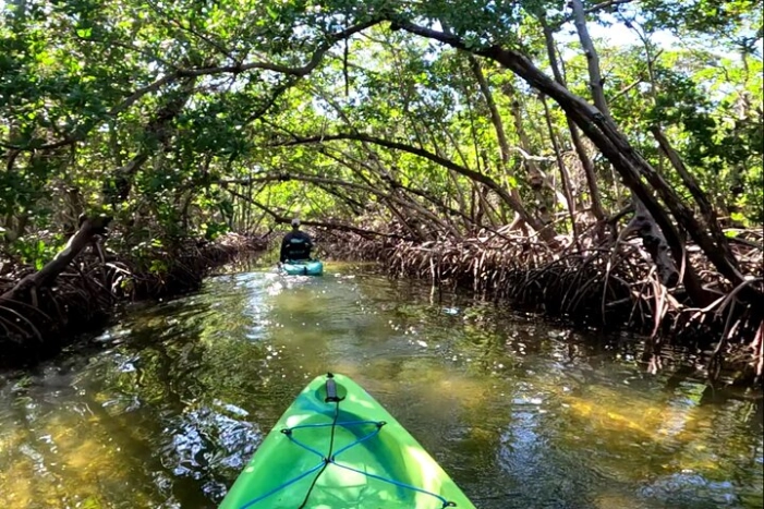 Image 6