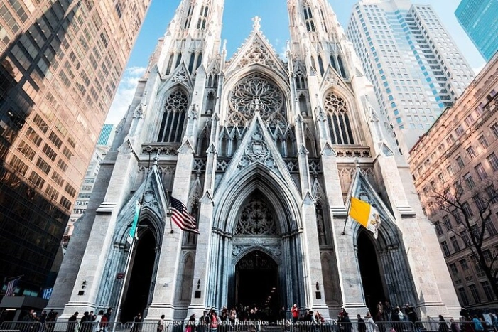 Image 7