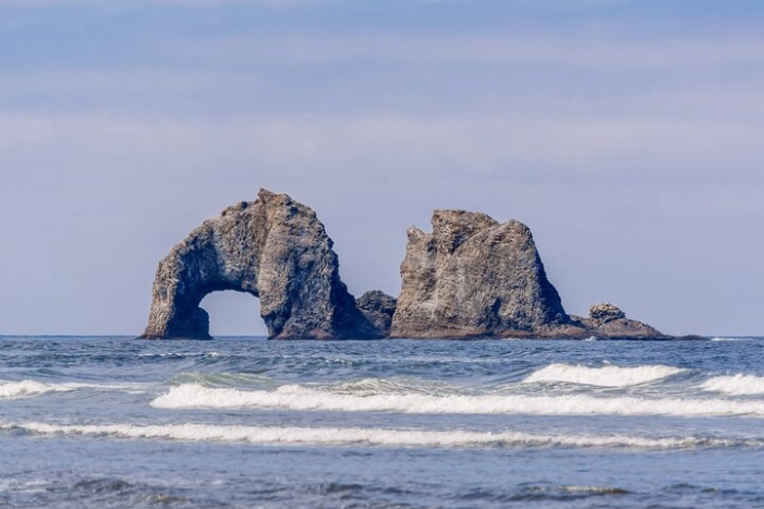 Image 9