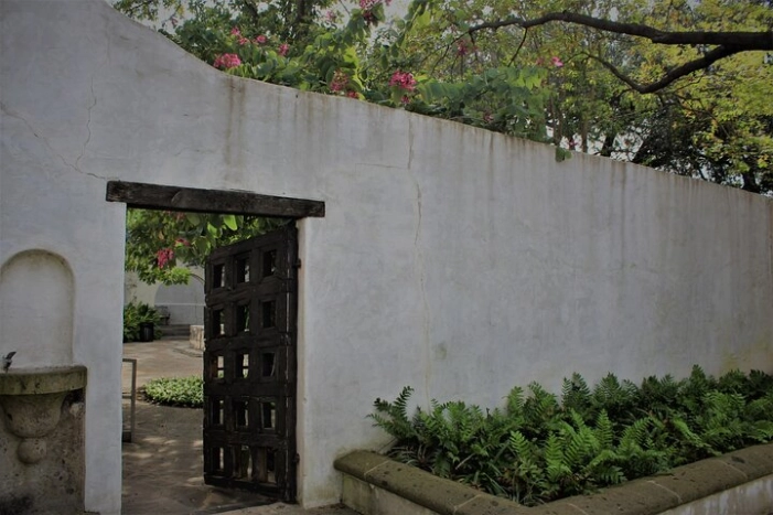 Image 6