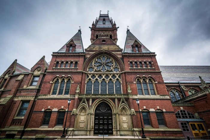 Image 14