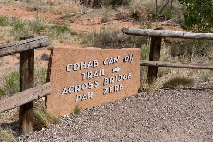 Image 19