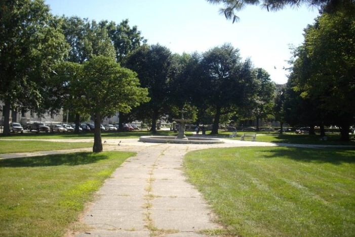 Image 5