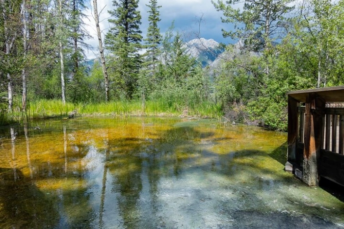 Image 11