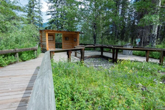 Image 12