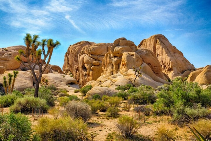 Joshua Tree's Hidden Valley Self-Guided Walking Tour