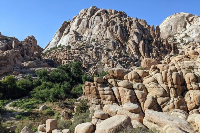 Image 11