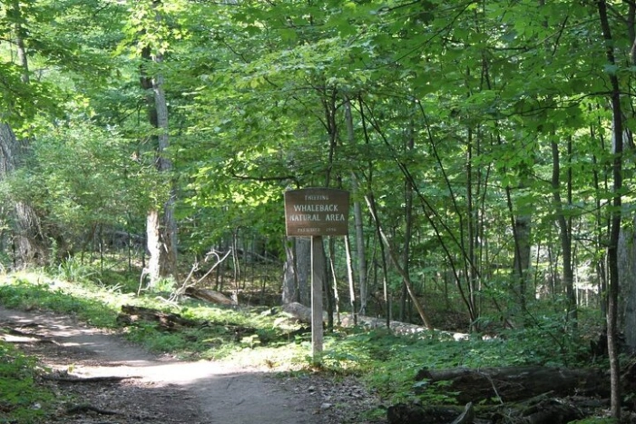 Image 13