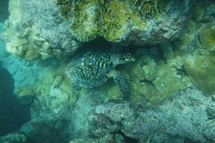 Image 11