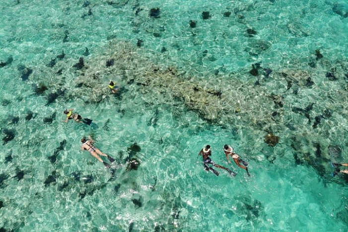 Image 9