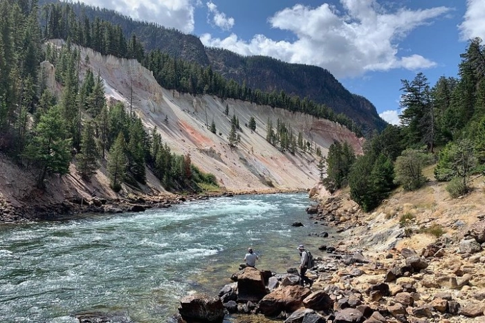 Image 6