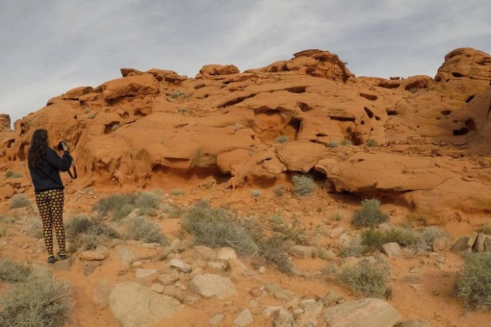 Image 6