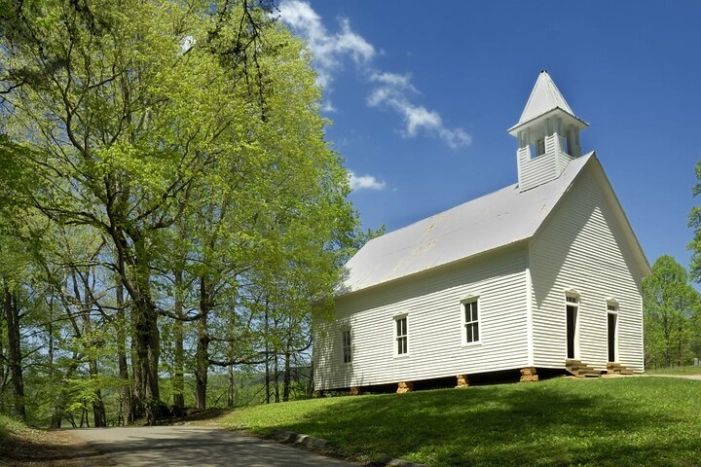 Image 14