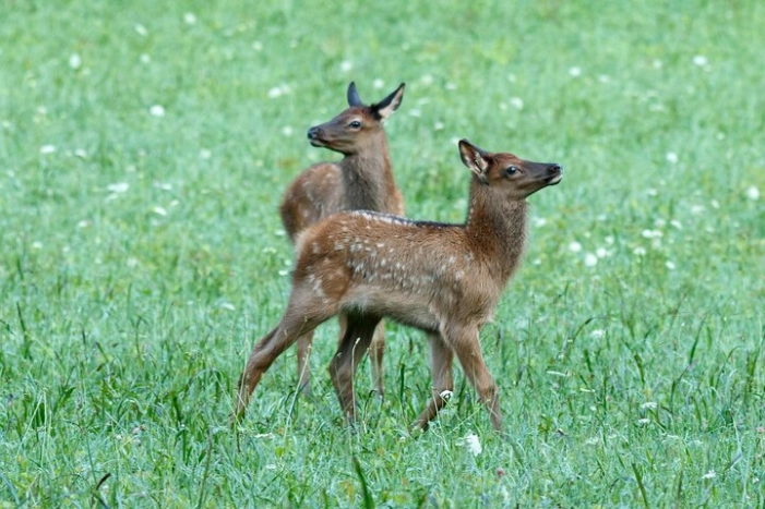 Image 12