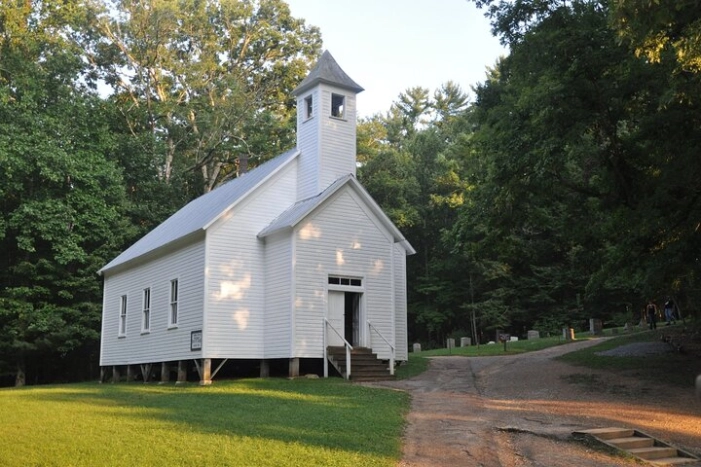 Image 8