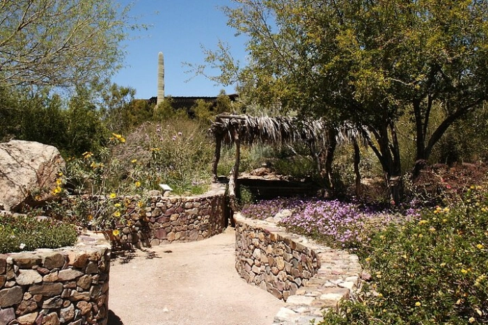 Image 10