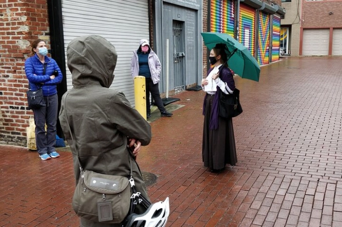 Historic Alleyways Guided Walking Tour of Washington DC
