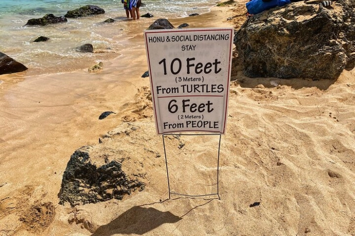 Image 18