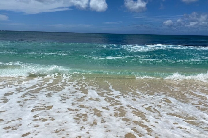 Image 31