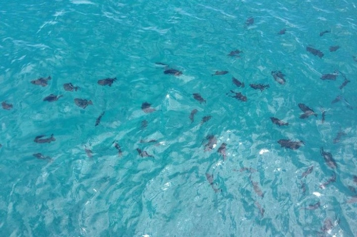 Image 6