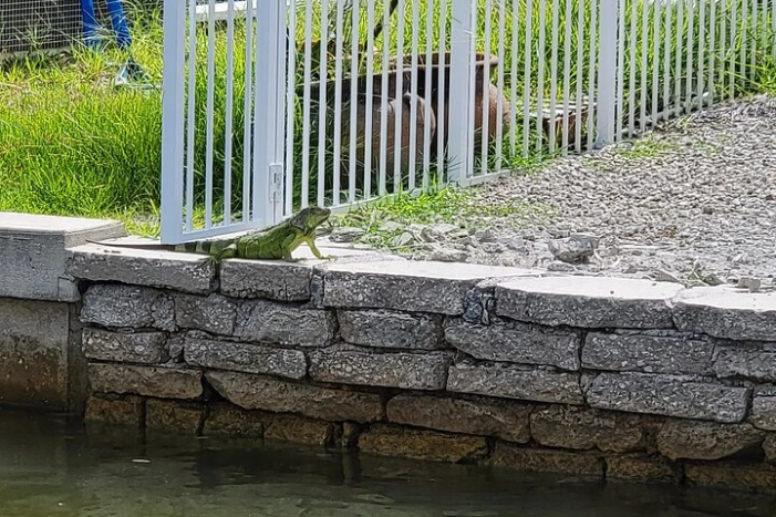 Image 12