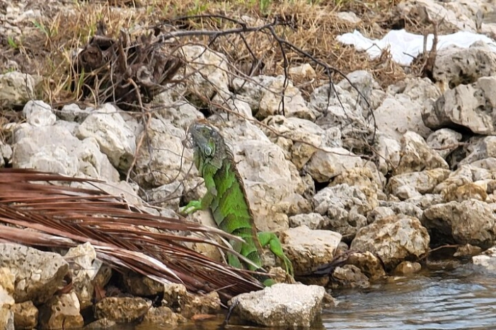 Image 14