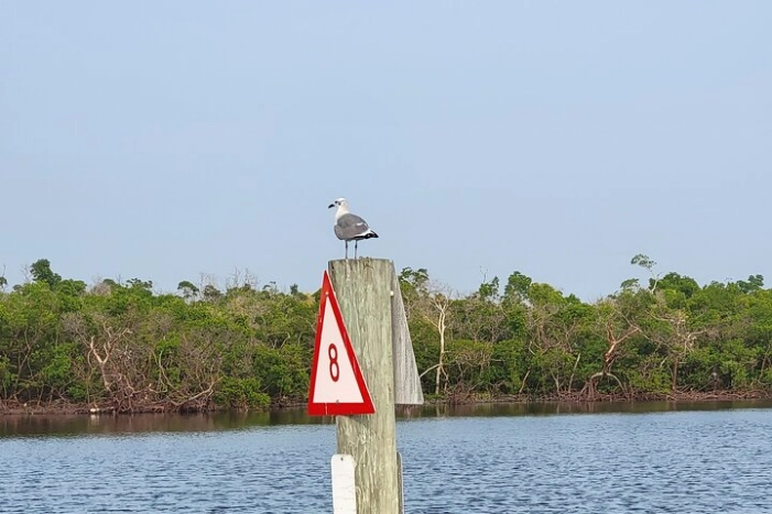 Image 15