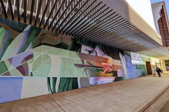 Image 5