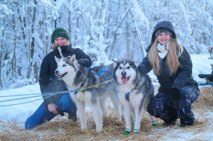 Free Pickup/Drop off: Alaskan Husky Dog Sledding with Free Photo 