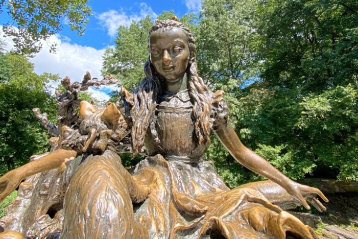 Image 31