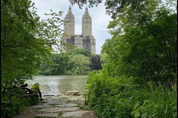 Image 37