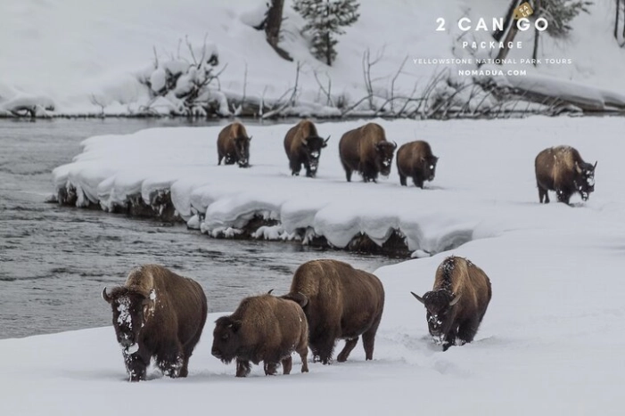 Yellowstone, Grand Teton,& Grand Circle Adventure: 7 Parks 9 Days