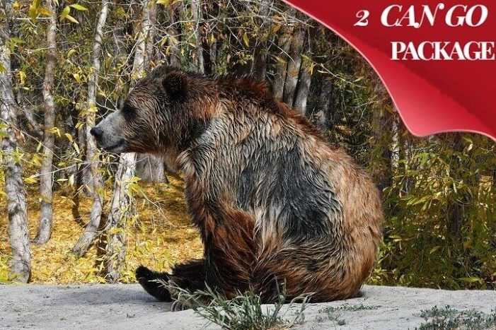 Yellowstone, Grand Teton, and Hot Springs: Small Group 5-Day Tour