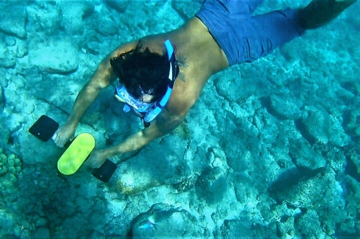 Kauai Snorkeling Adventure