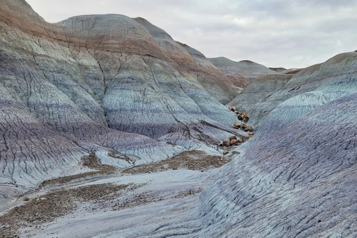 Image 15