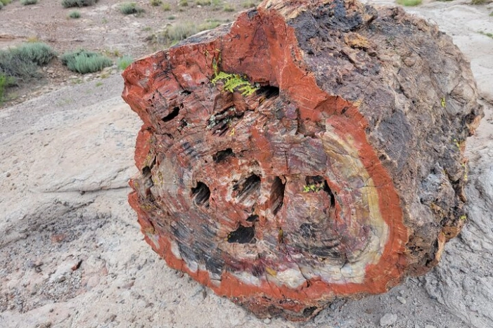 Image 25
