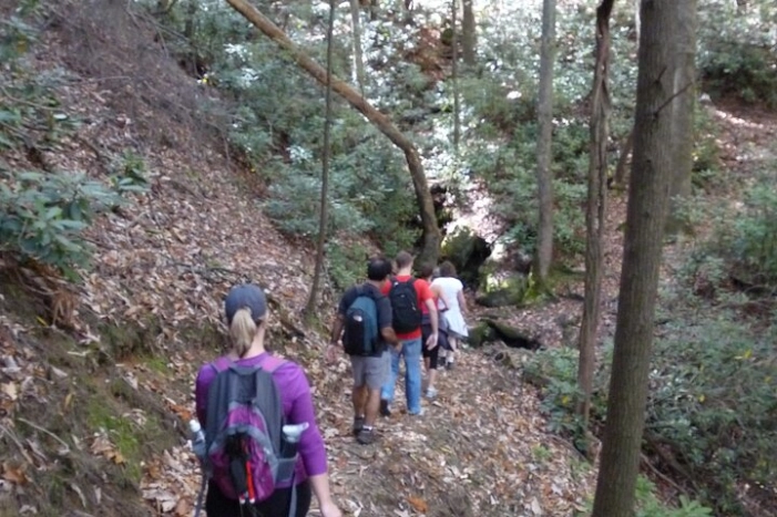 Image 4