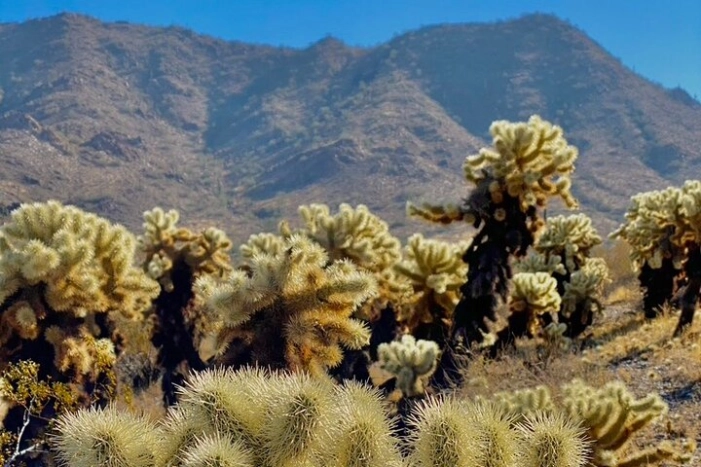 Image 10