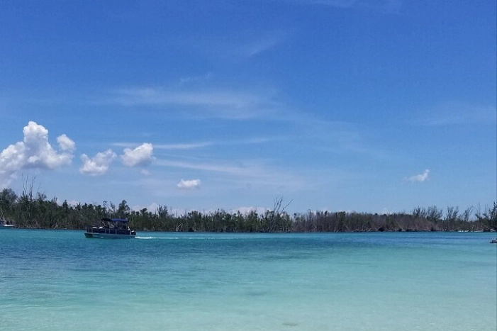 Image 6
