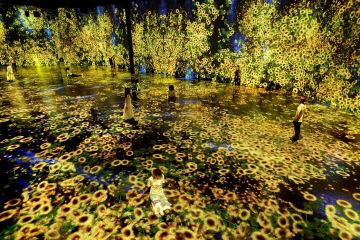 Miami: Superblue Miami Immersive Art Experience Ticket 