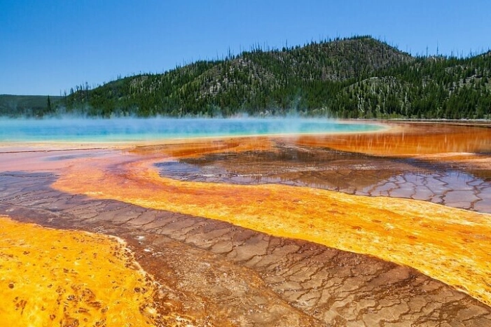 Best of Yellowstone Tour from Paradise Valley - Private Tour