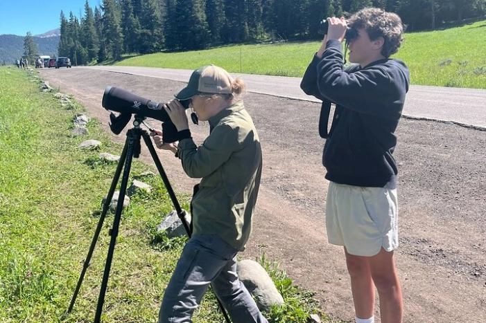 Yellowstone's Lamar Valley Wildlife Safari from Gardiner