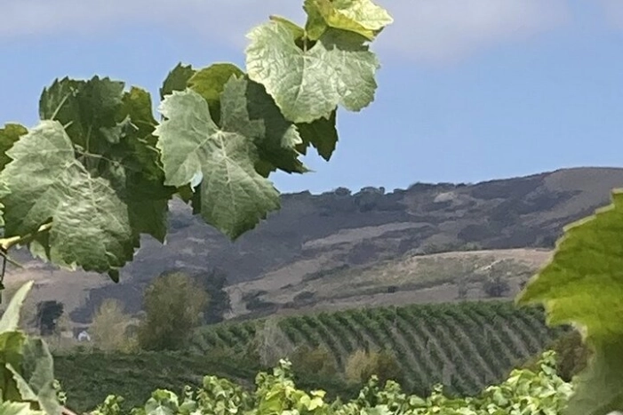 Image 12