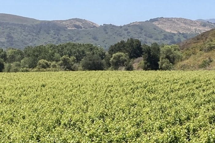 Image 14