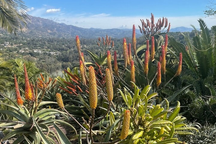 Image 15