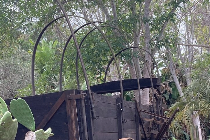 Image 6