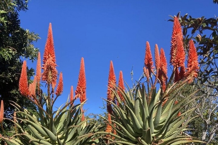 Image 22